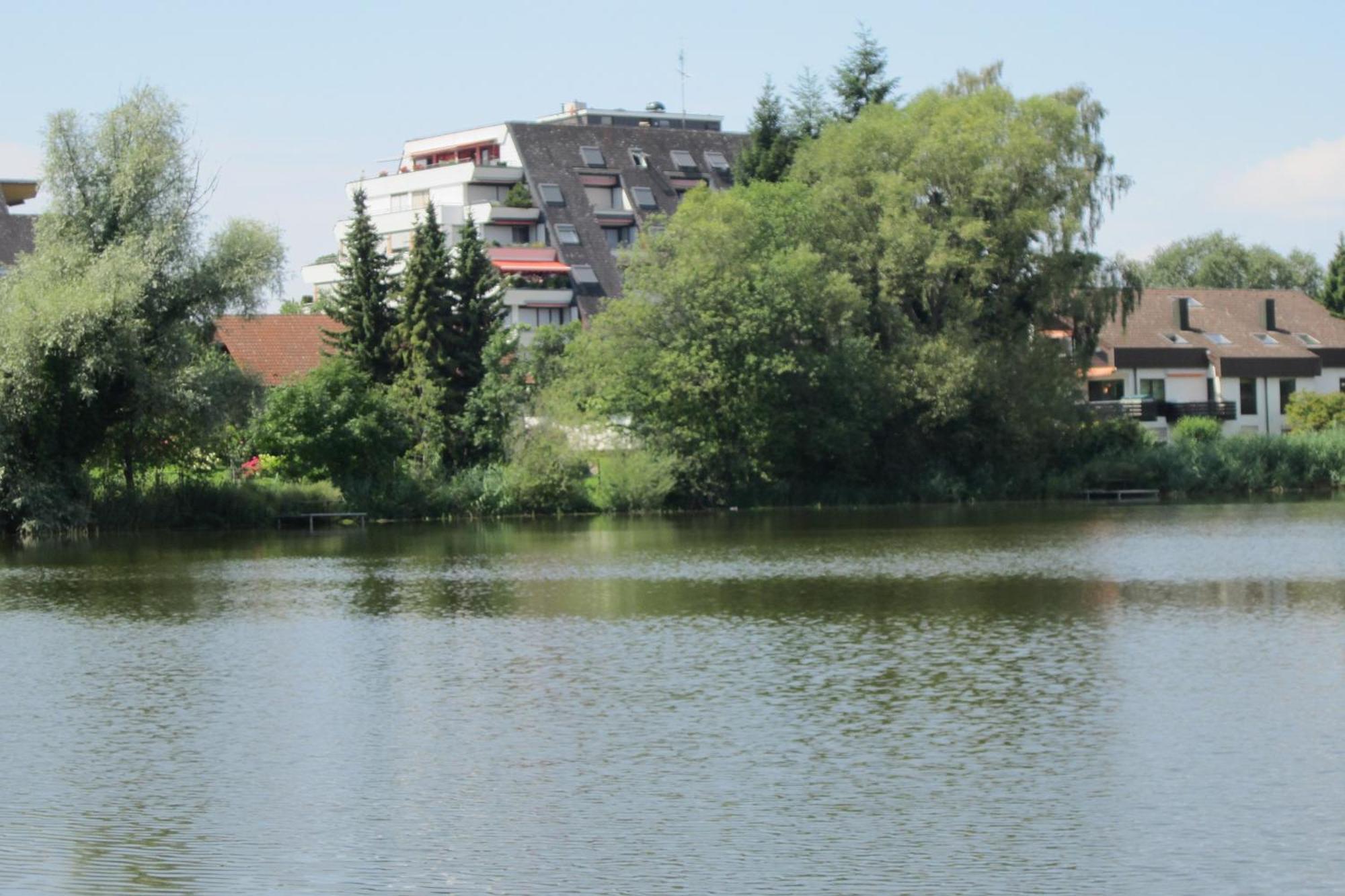Ferienwohnung Am Weiher Meersburg Esterno foto